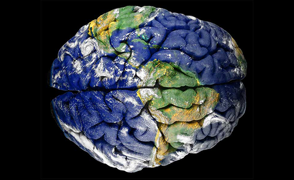 earth brain