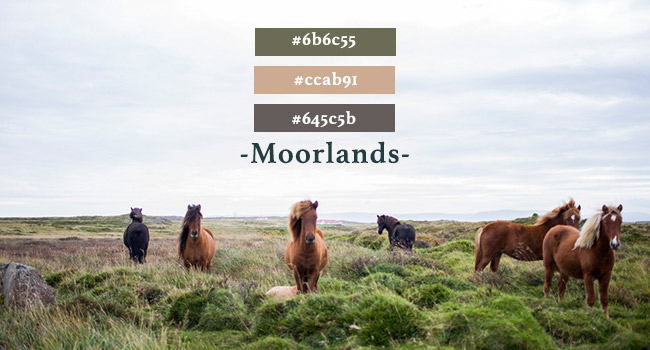 moorlands colour palette